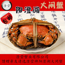 阳澄湖大闸蟹 6折优惠 螃蟹 单只公蟹 2.5-2.9 两 12只起售
