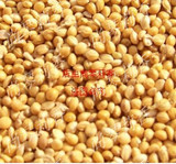 taobao english 2200364253