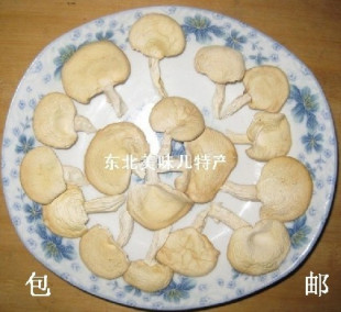  东北蘑菇 野生蘑菇 野生白蘑菇 肉厚滑嫩味道鲜美250克