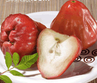  【果丽奇】新鲜水果台湾莲雾 脆甜爽口 3斤起江浙沪包邮