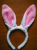 taobao english 239100402