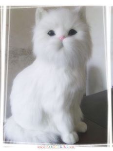 Simulation animal Simulation cat A birthday present Cat Model Persianin the Toy/Childs/Puzzle/Building block/Model , Simulation/Play house toys , Simulation/Animal dolls category - from Buy2taobao.com to provide professional Taobao agent buy service
