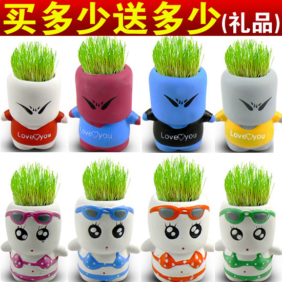 新年礼物 DIY办公室室内迷你植物盆栽 淘气郎青草种植 草娃娃