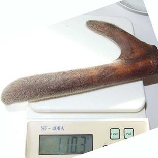  [林岛]头茬鹿茸(特干鹿茸) 整枝 鹿茸仅售6.8元每克