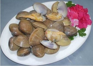  鲜活海鲜 无沙黄蚬子 东港大黄蚬 超级新鲜