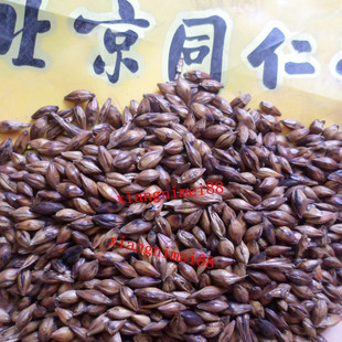  同仁堂散装最新秘制大麦茶 原味养胃 出口韩国 烘焙型 特价包邮