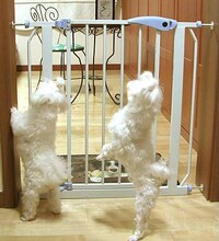 正品BABY SAFE儿童安全门护栏 宠物隔离栏狗栅栏楼梯防护栏婴儿栏