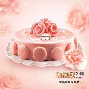  哈根达斯｜品牌热卖生日蛋糕南昌速递｜玫瑰馨语 香草+草莓冰淇淋