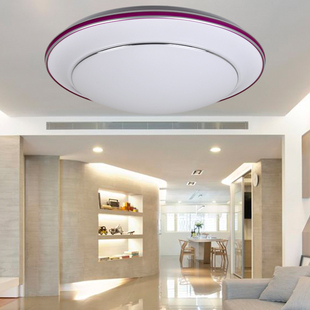 Stylish modern simplicity creative living room ceiling light romantic garden bedroom lamps Lighting  aisle lights 41,010