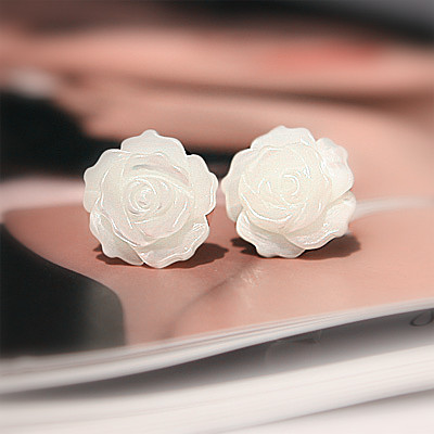 贝壳白玫瑰花朵...