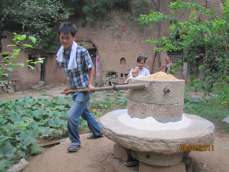 返璞归真/石磨小麦面粉/农家自磨面粉 原味面粉在类目 粮油米面/南北干货/调味品, 米/面粉/杂粮, 面粉/食用粉中 - 来自Buy2taobao.com提供专业的淘宝代购服务