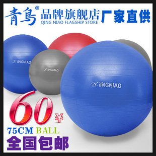 �������콢�꡿75cm�٤�� ���� �Ӻ� ����������� �ؼ� ����