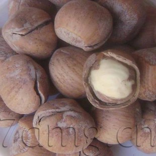  （2斤包邮）美国开口榛子250g大拇哥 新货#榛子