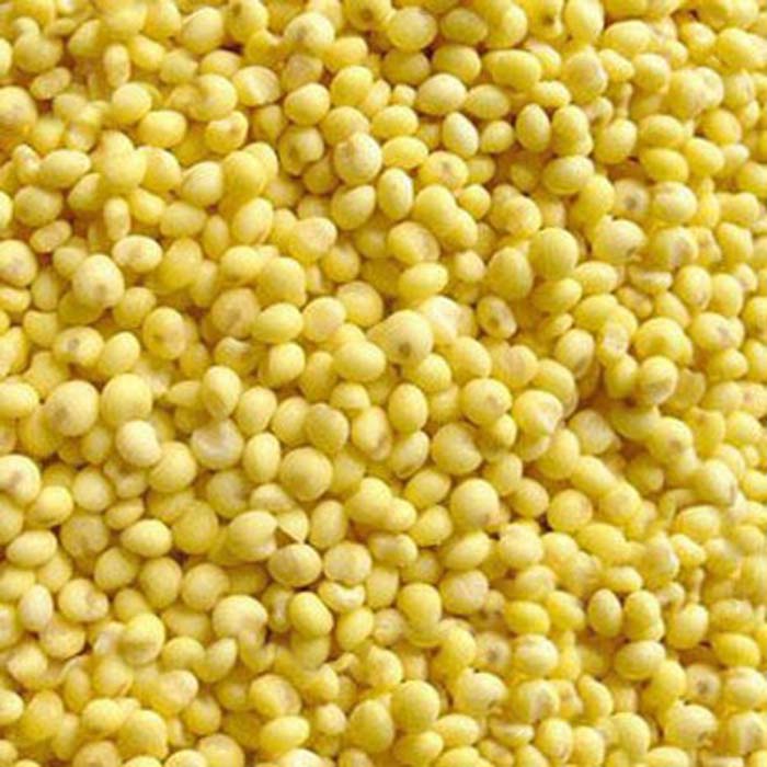 大黄米糯小米糯黏粘黄米东北农家粽子粘豆包黍子米糜子米500g新米在类目 粮油米面/南北干货/调味品, 米/面粉/杂粮, 米类, 小米中 - 来自Buy2taobao.com提供专业的淘宝代购服务