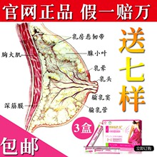 拜迪蕾娜红酒木瓜靓汤正品 红酒木瓜汤官网丰胸丰乳产品热卖排行