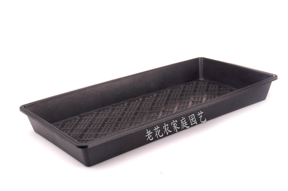 老花农-芽菜盘 育苗盘  正方形 长方形300g