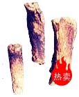延时早泄汤 1400人有效 前列腺炎阳痿遗精补肾耳鸣鼻炎肾虚腰酸疼