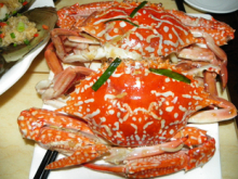 皇冠/海南三亚旅游美食餐饮加工友谊盘盘鲜毕姥爷海鲜套餐特价