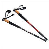taobao english 3227799813