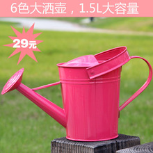 促销 zakka杂货 外贸彩绘铁皮大洒水壶 浇花器 喷壶大号2升水桶