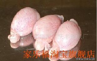  新鲜 羊鞭羊宝羊蛋 滋补首选 另有牛鞭牛尾巴牛肉羊肉土鸡