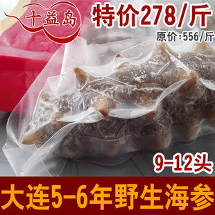  【十益岛】302大连辽参刺参野生速冻即食海参500g供上品海晏堂