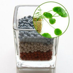 迷你植物,办公室小盆栽 DIY<em>淘气</em>郎魔草 青草 四