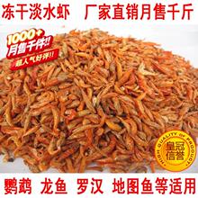 冻干虾冷冻干燥虾★鱼饲料鱼食血鹦鹉地图鱼罗汉银龙鱼虾干 500克