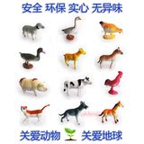 taobao english 10160923323
