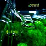 为什么我用的ADA水草 泥水 老是黄_ 泥水任务 怎