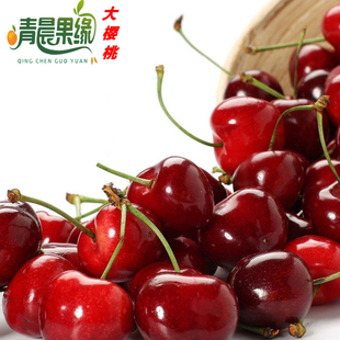  预售/预定烟台大樱桃红灯 水果新鲜胜进口车厘子山东福山特产包邮