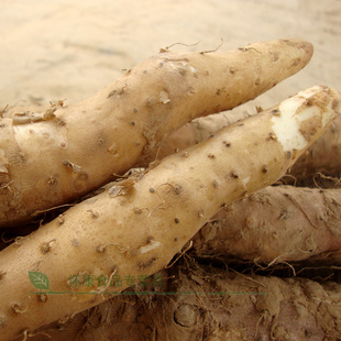  【5斤包邮】自种至尊顶级垆土铁棍山药河南焦作温县新鲜淮山药