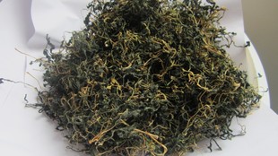  崇明野干马兰头干货脱水蔬菜 马兰头 田边菊