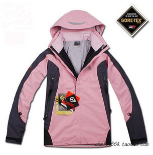 100元求购一个THE NORTHFACE女式冲锋衣的