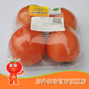 农场直供 东升大番茄 西红柿 新鲜蔬菜番茄 广州配送（500g）
