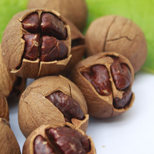  【东林】坚果 手剥小核桃临安小山核桃 250g 袋装 新货上市