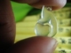 缅甸翡翠玻璃种心心相印
