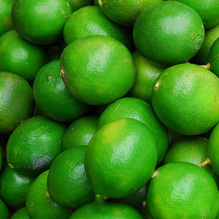  天通苑水果网 海南青柠檬1斤装 新鲜青柠檬【皮薄汁多 美容佳品】