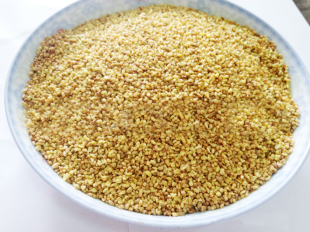  新茶正品特价 黄金苦荞茶 黑荞麦花草大麦 无糖养生牛蒡降压 150g
