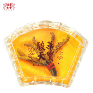  骏华天宝 特级青海玉树冬虫夏草正品 同仁堂极虫草批发2条/g 礼盒