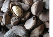 新货正品 特级野生鲍鱼果 沙漠果 零食坚果健脑补脑