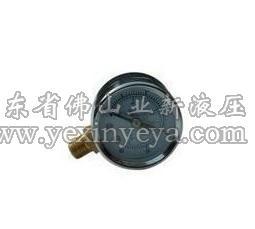 Hydraulic pressure gauge,Pressure gauge YTN-60 7~40Mpain the Hardware/Tool , Instrumentation , Pressure gauge category - from Buy2taobao.com to provide professional Taobao agent buy service