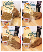正品爱丽思 宠物储粮桶 狗粮猫粮保鲜桶 密封性好 MFS-4黄色