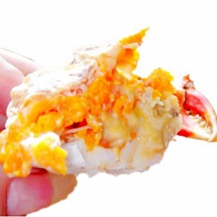 三门青蟹 美食 母蟹螃蟹 海蟹 非帝王蟹 水产海鲜鲜活 大红膏