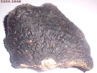  德胜堂 海南野生薄树灵芝 薄树芝 排毒养颜抗衰老 香味浓厚 包邮