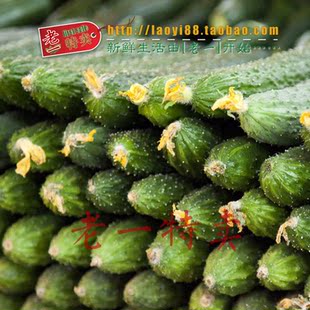  老一特卖 带刺干花 黄瓜 有机 绿色 蔬菜 3.98元