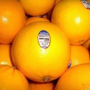  进口新鲜水果 美国新奇士橙 3107橙子 鲜橙脐橙 江浙沪皖包邮