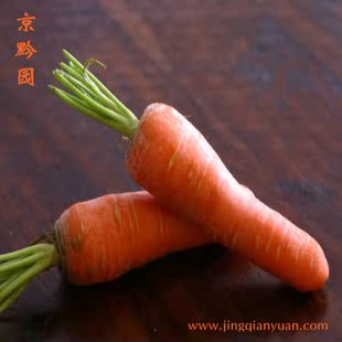  【京黔园】绿色食品优质蔬菜 葫萝卜 北京买菜当天送到家