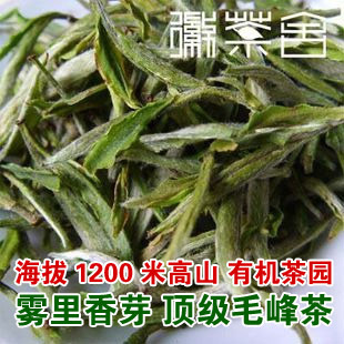  新茶  雾里香芽 顶级品质 黄山毛峰 限量销售