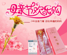 正品24K金康乃馨/送妈妈 送老师生日礼物 创意礼品 实用感恩礼物